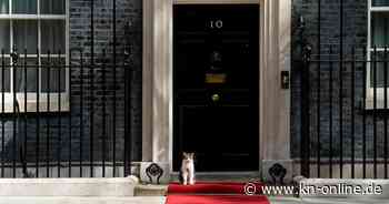 Britische Premiers: Das Kommen und Gehen in 10 Downing Street