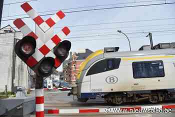 Treinverkeer tussen Brussel-Noord en Leuven verstoord na aanrijding tegen overhangende boom: 200 reizigers moeten met bus verder