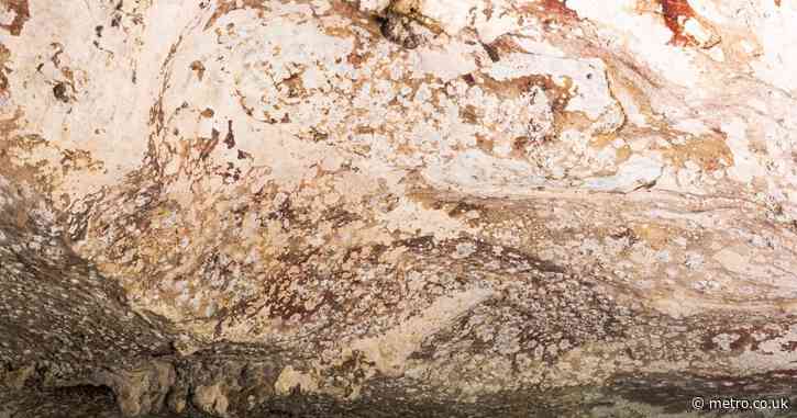 World’s oldest painting unveiled – can you tell what it is?