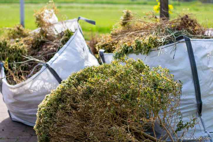 Santa Fe County to host free 'green waste' disposal days