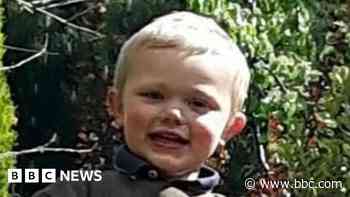Two charged over boy's dog attack death