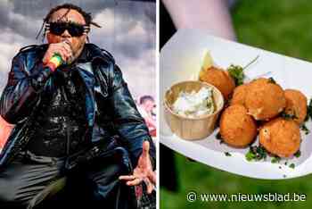 LIVE ROCK WERCHTER. Plein vol aan The Slope voor Skindred - Is het duurste eten op het terrein je geld waard?