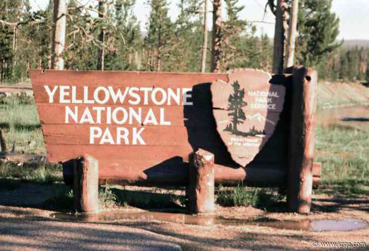 Yellowstone rangers, armed person exchange gunfire at national park