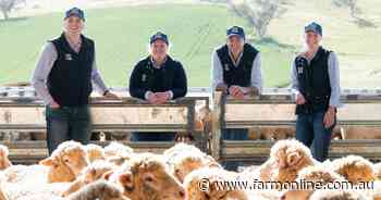 Gundagai Lamb takes road to quality and traceability heights