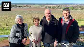 'Up-and-coming Barossa Valley' pushes back against large solar farm