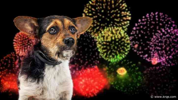 Every dog has its day, but it’s not the Fourth of July