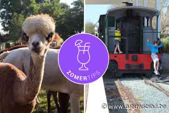 OVERZICHT. Van wandelen met alpaca’s tot meerijden op een stoomlocomotief: 20 tips voor activiteiten bij slecht weer in Oost-Vlaanderen