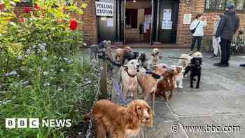 Dogs gather for traditional polling station photo