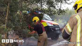 New Forest fire thought to be deliberate