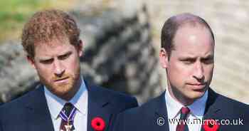 Prince Harry teases William secret that he 'wouldn't want world to know'