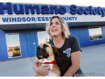 Coulter out as head of Windsor/Essex County Humane Society