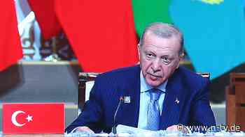 Türkische Rechtsextremisten: Erdogan führt Deutschland vor