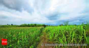 Despite monsoon deficit, Kharif acreage up 32% in June, driven by pulses & oilseeds