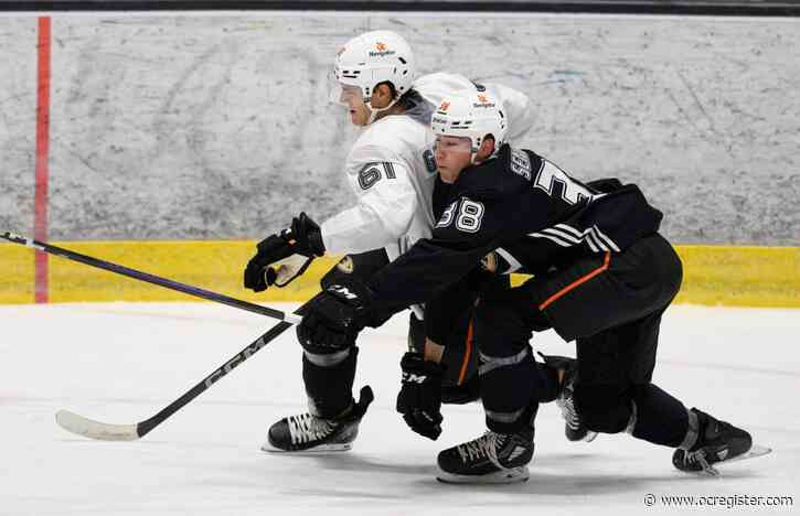 Ducks’ development camp provides look at a promising future
