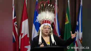 Air Canada has new policy on sacred items in the cabin after incident with national chief's headdress