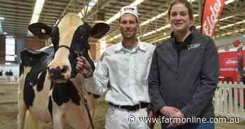 View Fort Holsteins wins Victorian Winter Fair supreme with show debutante