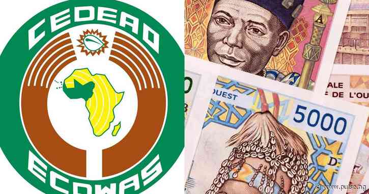 ECOWAS set to unveil single currency, ECO after Nigeria endorsement