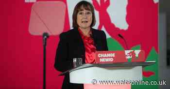 11 things you didn't know about new Welsh secretary Jo Stevens