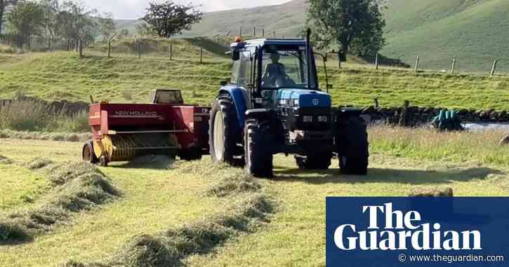 Country diary: Itching and scratching after a day of hay-baling | Andrea Meanwell