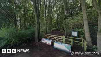 Police appeal after girl, 13, attacked in woods