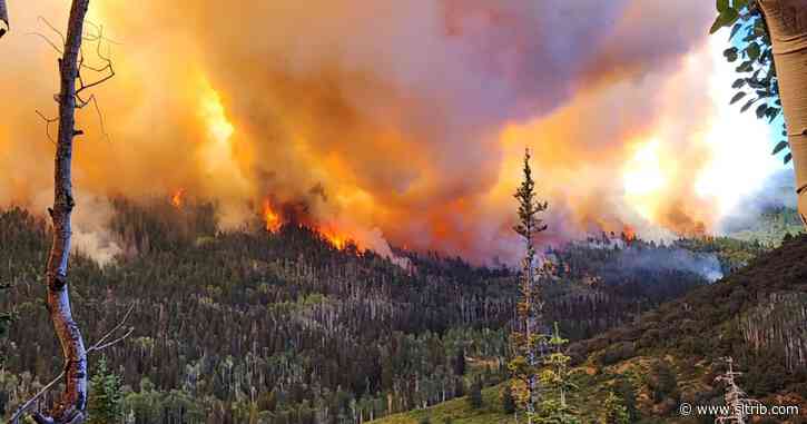 Silver King Fire nears 1,000 acres as officials worry about high winds
