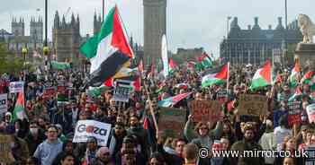 Several arrests made as thousands of Pro-Palestine supporters march in London