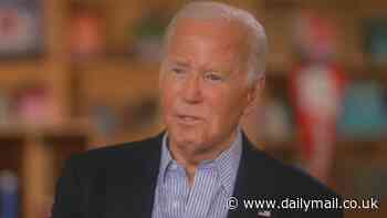 Insiders reveal the shocking comments Democrats made about Joe Biden behind the scenes after 'sad' 22-minute interview
