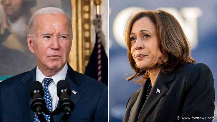 Potential Harris White House murky as VP 'never exhibited a core set of beliefs': Dem strategist