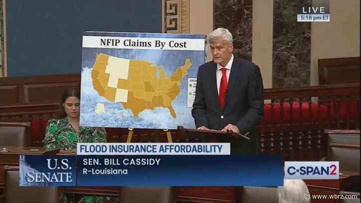 Sen. Cassidy pushing for Congress to lower flood insurance costs amidst damage from Hurricane Beryl