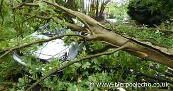 Tree falls and crushes car near Sefton Park after city battered by thunderstorm