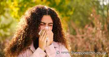 Eat more of one common thing and avoid popular drink to ease hay fever symptoms