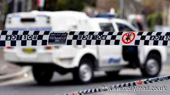 Marsfield, Sydney: Mother and teenage daughter found dead at Menzies Road home