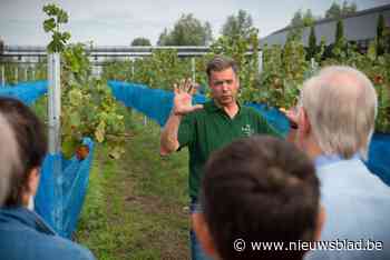 28 Oost-Vlaamse wijnboeren nodigen fietsers uit om te komen proeven: “We hebben meer chauvinisme nodig”