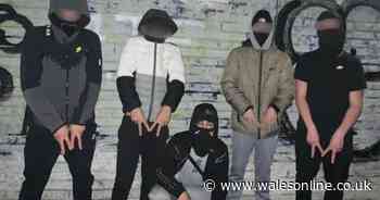Wannabe gangster poses with group of masked friends holding weapons