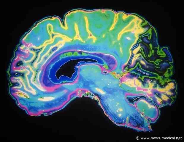 Study reveals how inflammation weakens muscles during illness