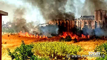 Incendio sotto al viadotto: fiamme vicino alle case e al commissariato