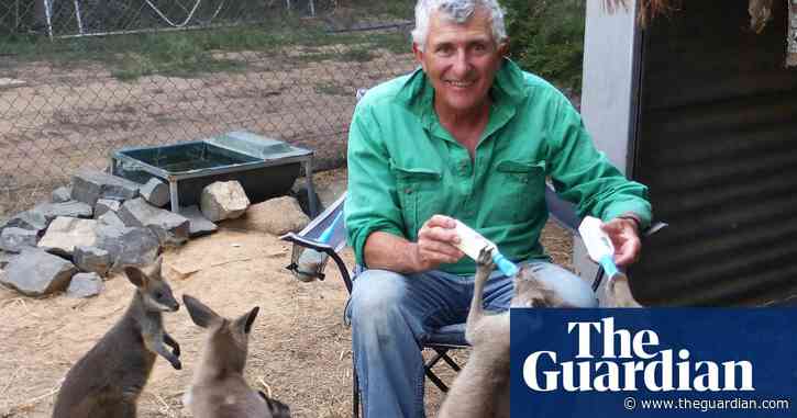 Wildlife rescue group Wires faces crunch vote amid volunteer discontent over funds raised after bushfires