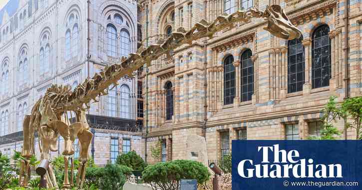 ‘You travel five million years a metre’: inside the Natural History Museum’s mind-boggling new garden