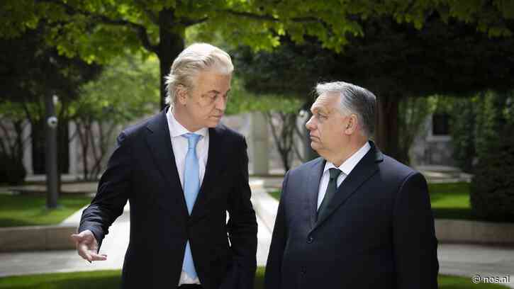 Nieuwe coalitie verdeeld over opstelling tegenover Orbán
