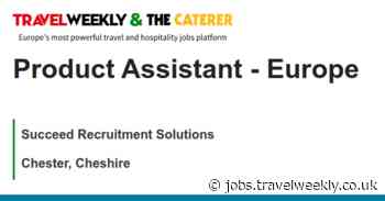 Succeed Recruitment Solutions: Product Assistant - Europe
