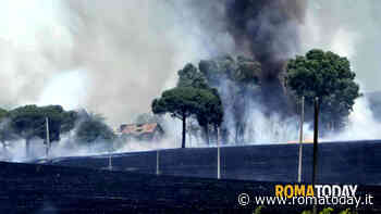 Roma circondata dagli incendi: fiamme minacciano impianto fotovoltaico