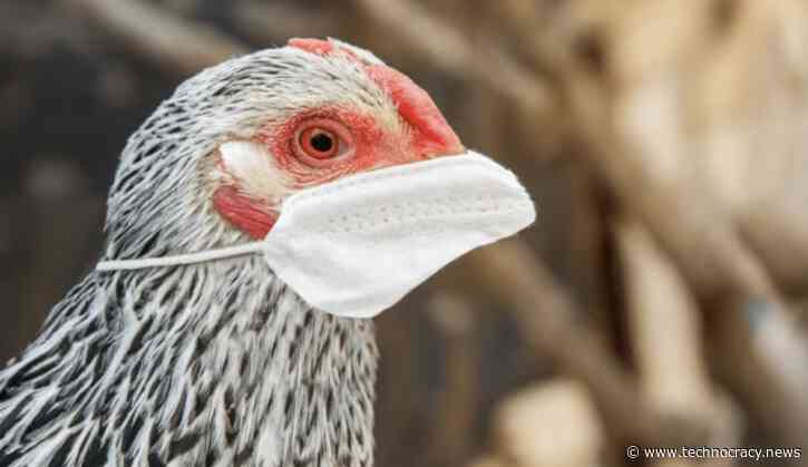 MODERNA Gets $176 Million From Feds To Rush mRNA Injections For Bird Flu