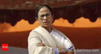 Bengal CM Mamata Banerjee challenges HC order asking her 'not to defame' governor C V Ananda Bose