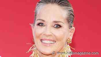 Sharon Stone, 66, is a total vision in sheer glittering dress following incredible achievement