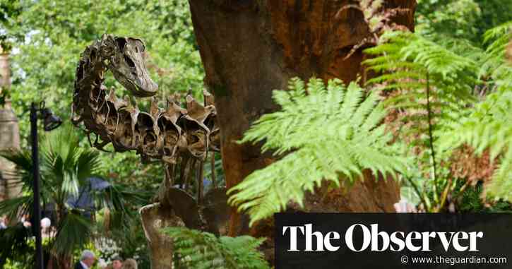Urban Nature Project at the Natural History Museum review – it’s a wondrous jungle out there
