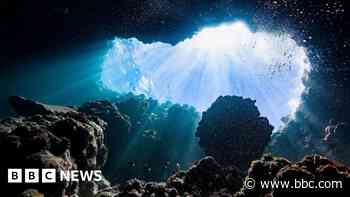 Oxygen discovery defies knowledge of the deep ocean