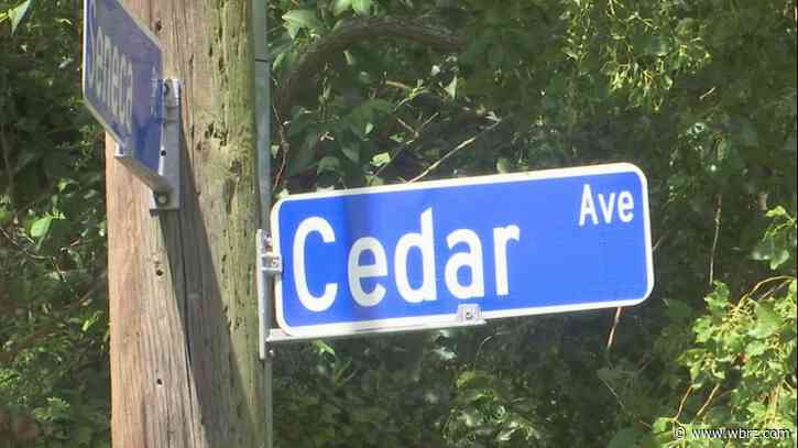 Fatal shooting on Cedar Avenue marks 57th homicide in Baton Rouge city limits this year