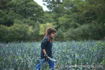 Government urged to double UK fruit and veg production