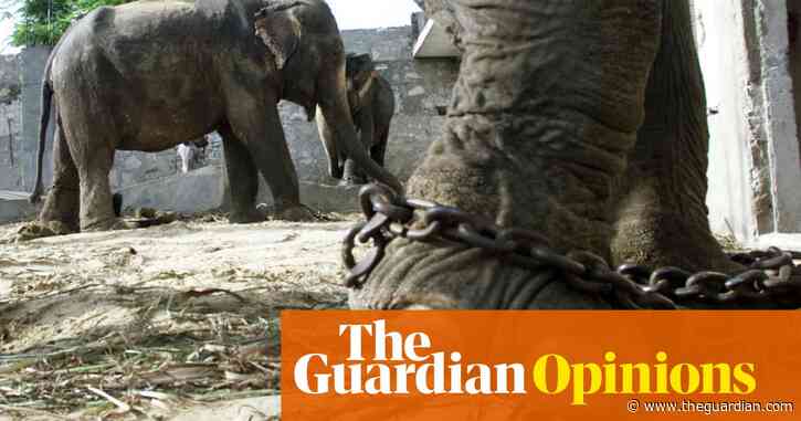 I deeply regret riding an elephant on holiday. This year, we should all make the ethical choice | Chris Packham