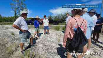 Fort Myers teens help with Sarasota Bay mangrove replenishment efforts